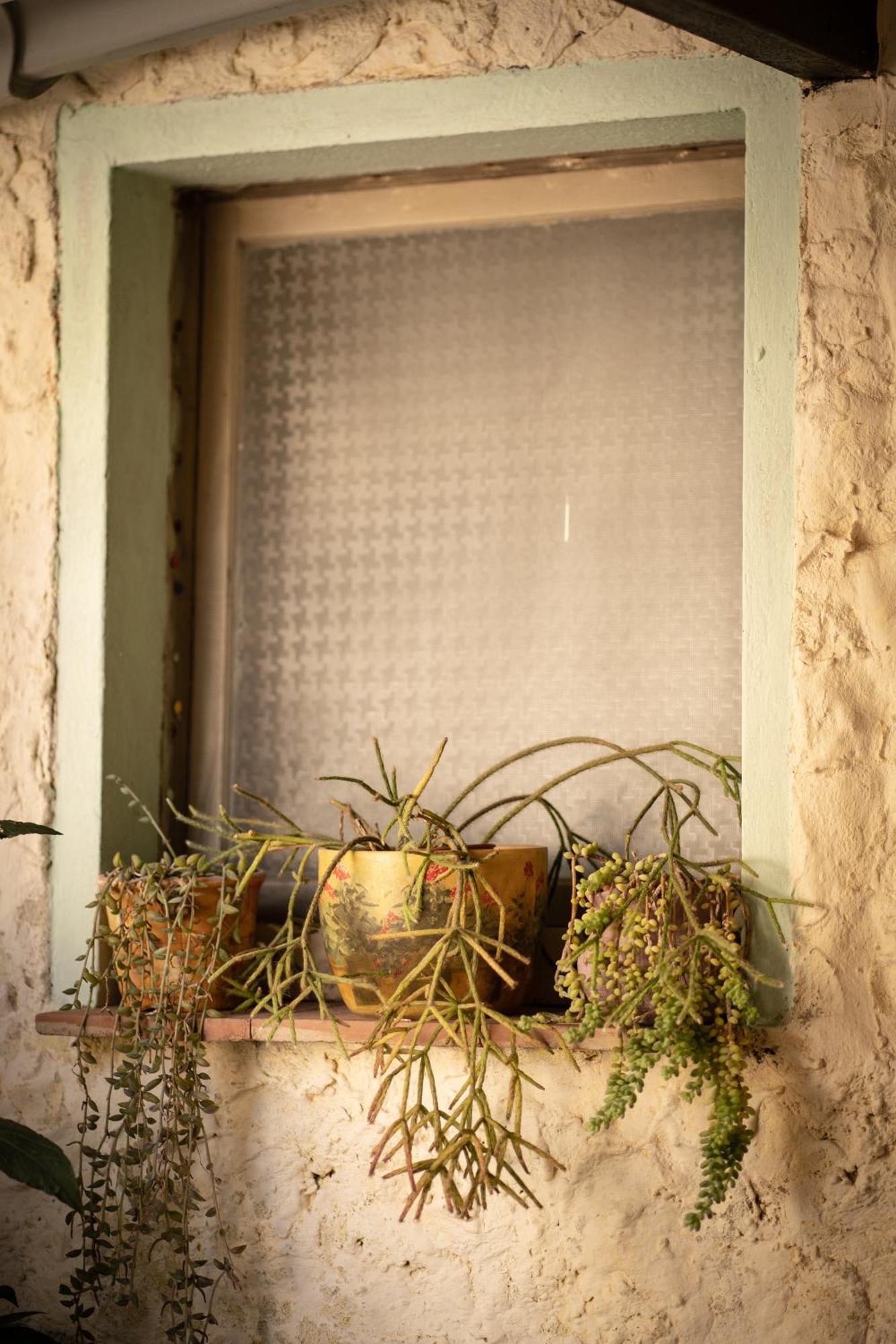 Sa Domu De Ladiri - Matrimoniale Con Giardino Bed & Breakfast Musei Bagian luar foto